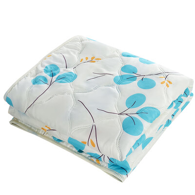 喜芙妮（Softnie）梦幻园水洗被 XF-B2401 180*200cm