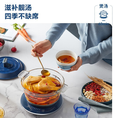 摩飞电器Morphyrichards 养生锅 MR9080