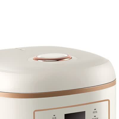 SANSUI 山水 多功能电饭煲 S-FB1206 