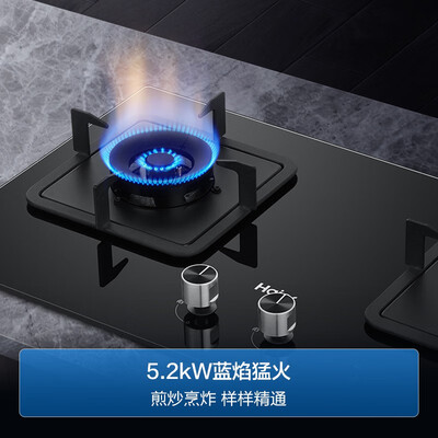 海尔燃气灶哪个好（海尔 5.2KW双灶家用燃气灶灶具质量烂不烂）