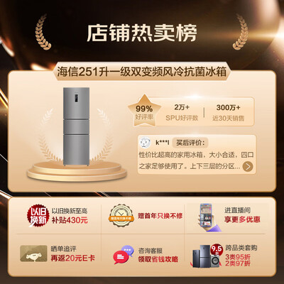 海信冰箱系列和价格（海信BCD-251WYK1DPJ电冰箱质量烂不烂）