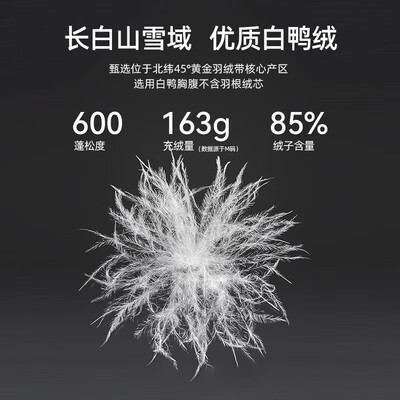 骆驼羽绒服好吗(骆驼 羽绒服 男 M33CR07131A男士羽绒服体验效果好吗)-图片2