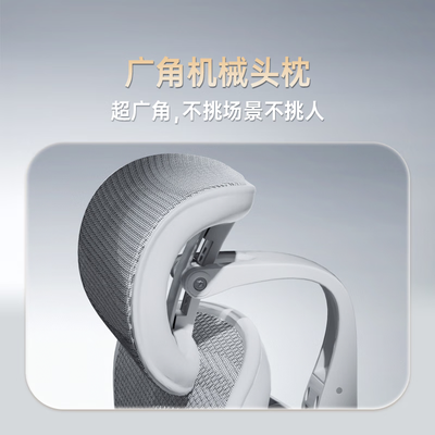 西昊人体工学椅哪个型号好（西昊Doro C500 – 舒适办公椅人体工学椅评测说真相）-图片4