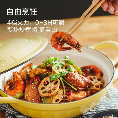 电磁炉电陶炉哪个牌子好（北鼎电磁炉小鹅黄多功能电陶炉怎么样）-图片4