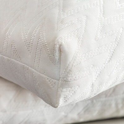 红蜻蜓 防螨乳胶颗粒枕 HQT-3021 35×55×10cm×1