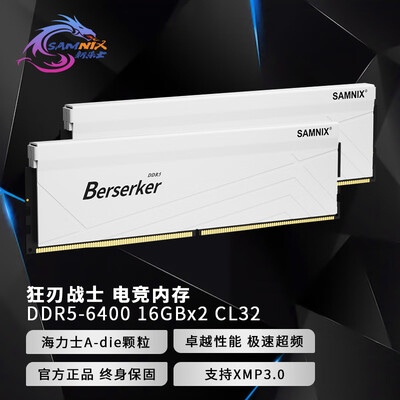 新乐士Berserker狂刃战士系列DDR5马甲条内存条深度评测：性能猛兽，究竟来自何方？-图片4