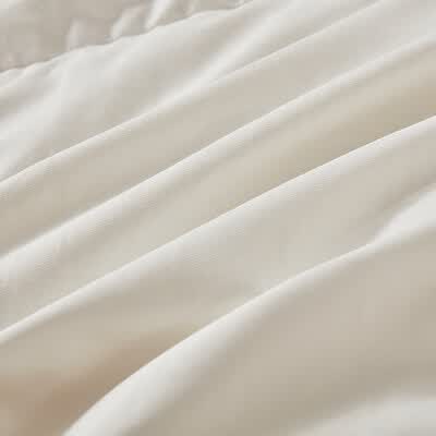 金丝莉（KINTHERI） 宝岛鹅绒被JB-1201 JB-1201 200x230cm