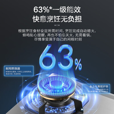 林内 2E08MTX 燃气灶 5.2KW双眼猛火猛火灶评测说真相(林内燃烧灶怎么样)-图片1