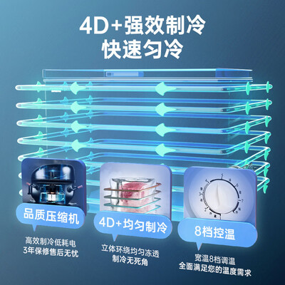 澳柯玛BC/BD-323NE冷柜到底如何,值得入手吗（澳柯玛冷柜怎么调温度视频）-图片4