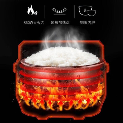 九阳（Joyoung）家用多功能电饭煲 F30FY-F311 3L