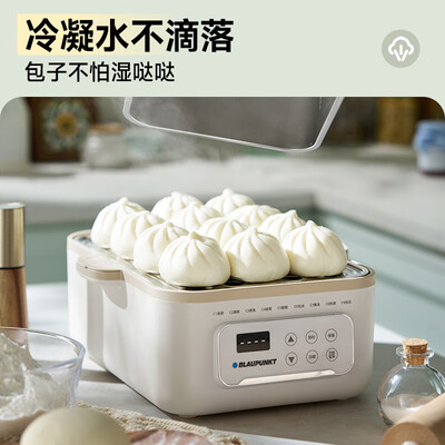 德国蓝宝电热饭盒怎么样（蓝宝 BLAUPUNKT 电蒸锅 13.5L大容量双层电炖锅质量如何）-图片2