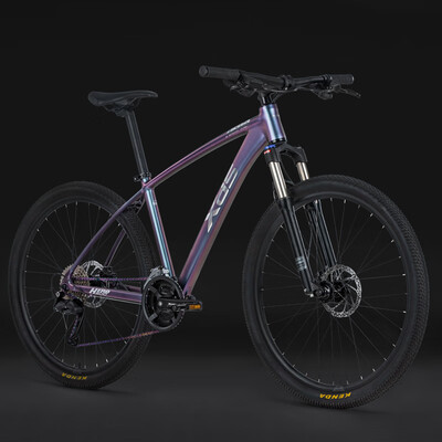 喜德盛英雄600和英雄300区别(XDS 英雄600 山地车山地自行车质量烂不烂)