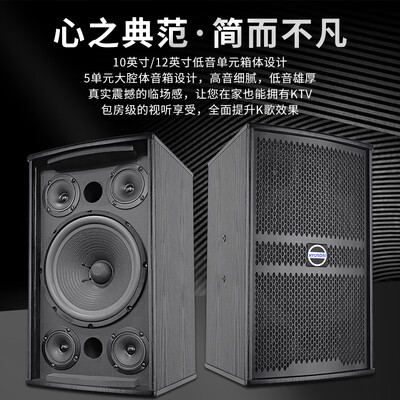 hyundai/现代 音箱怎么样（HYUNDAI现代音响 HY10S专业音箱KTV音响评测说真相）-图片4