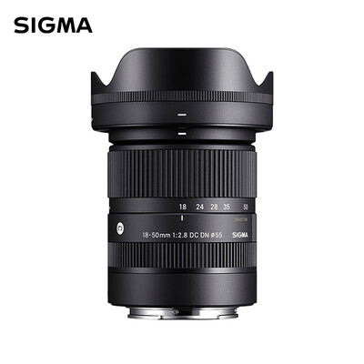 尼康 Z 70-200mm f/2.8 VR微单镜头怎么样（适马微单镜头索尼卡口135效果怎么样）