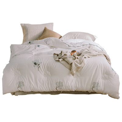 伊伊爱 全棉斜纹棉花冬被秋冬保暖被150*200cm约5斤 Z01900013