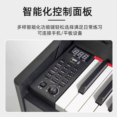 LOUDAN 电钢琴88键立式是否值得入手（露丹电钢琴怎么样）-图片4