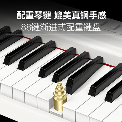 特伦斯折叠电钢琴88键到底如何,值得入手吗（特伦斯电钢琴是哪个国家的）