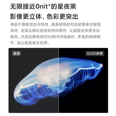 小米 电视6 65英寸OLED电视质量烂不烂（小米oled电视65寸怎么样）