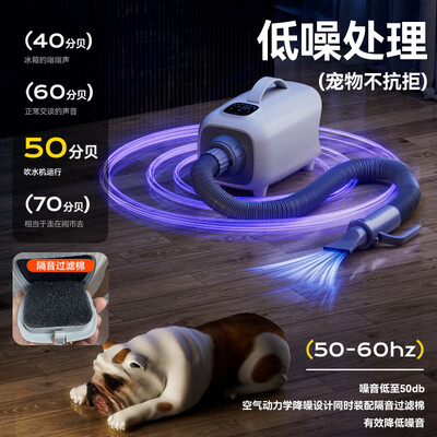 宠物吹水机和吹风机有什么区别（华元宠具吹水机宠物烘干箱体验效果好吗）-图片6