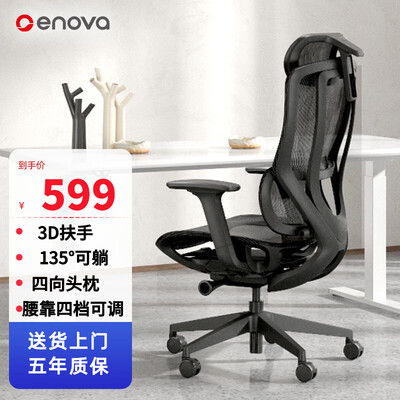 ENOVA 时尚家撑腰椅 人体工学电脑椅到底如何,值得入手吗（岚皓电脑椅怎么安装）-图片1