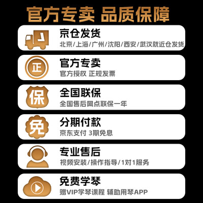 罗兰FP18电钢琴测评看真相（罗兰电钢琴哪个型号性价比高）-图片5