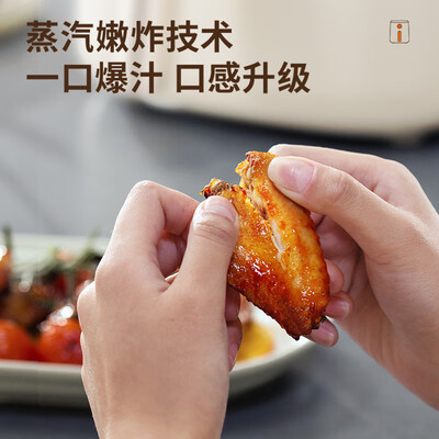 九阳V186空气炸锅靠谱吗,揭秘内幕（九阳空气炸锅哪个型号最实用最好）-图片3