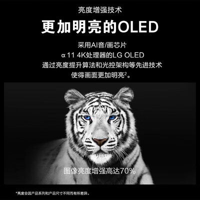 lg65寸oled电视哪款好（LG OLED55G4PCA 55英寸 游戏电视 4K 144HzOLED电视值得手入吗）