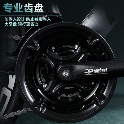 自行车菲利普好还是凤凰好（菲利普公路车飓风灰 M码 24速变速公路自行车好不好）-图片2