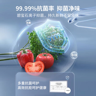 澳柯玛冰柜型号区别（澳柯玛BD-186WPHNXI立式冰柜家用冰柜值得手入吗）-图片5
