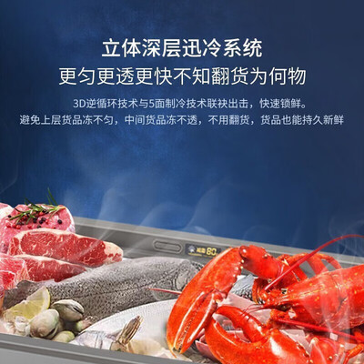 海尔双开门冰箱冷藏室和冷冻室调到多少度（海尔 247L冰柜商用双开门冷冻柜怎么样）-图片2