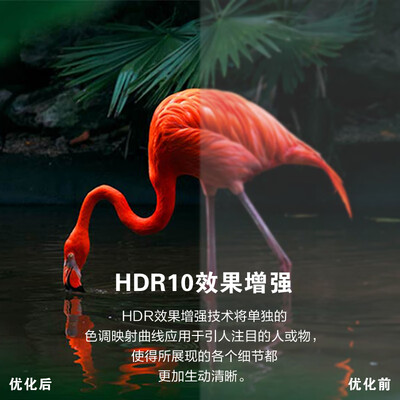 lg65寸oled电视哪款好（LG OLED55G4PCA 55英寸 壁纸电视 4K 144HzOLED电视怎么样）-图片5