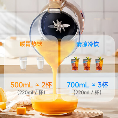 德萨帝破壁机怎么样（德萨帝 Desadi 流食破壁机 适用1-2人料理机体验效果好吗）-图片7