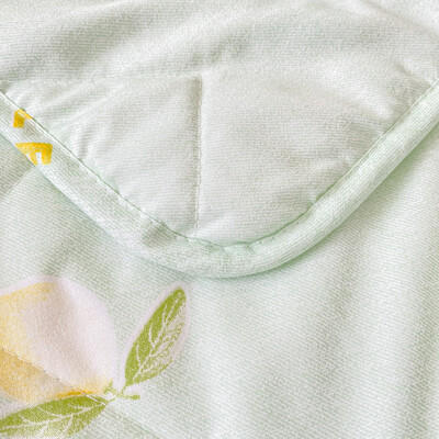 路易卡罗 活力檬檬润肤被 LK8857 180*200cm