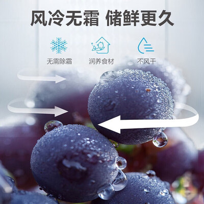 海尔170升小型双开门冰箱到底如何,值得入手吗(海尔冰箱哪款质量好 性价比高)-图片2