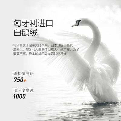 水星家纺匈牙利95白鹅绒羽绒被 220x240cm质量如何（水星家纺羽绒被质量怎么样）
