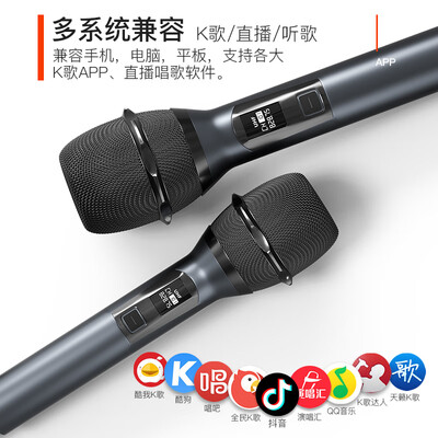 雷登音响和jbl音响比较（雷登 OHAYO S10 KTV家庭音响KTV音响怎么样）-图片1