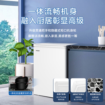 海尔冰柜BC/BD-100GHDT100升小型冰柜家用冰柜质量如何（海尔家用冰柜哪个型号好）-图片2