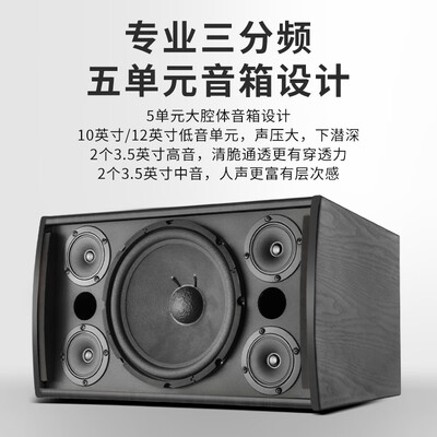 hyundai/现代 音箱怎么样（HYUNDAI现代音响 HY10S专业音箱KTV音响评测说真相）-图片2