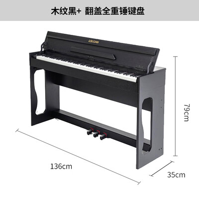 LOUDAN 电钢琴88键立式是否值得入手（露丹电钢琴怎么样）-图片2