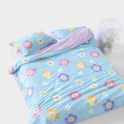 百丽丝A类可水洗夏凉被200x230cm靠谱吗,揭秘内幕(百丽丝蚕丝被怎么样)-图片2