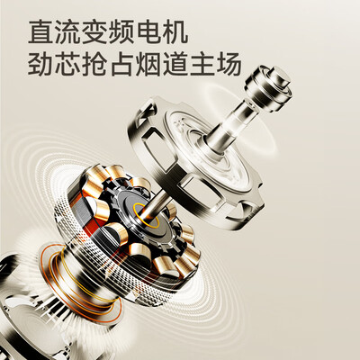 集成灶一体油烟机什么牌子好（欧诚 集成灶 BL009 家用体感抽油烟机分体式集成灶体验效果好吗）