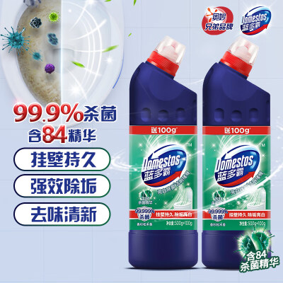 蓝多霸亮白除菌洁厕啫喱 洁厕灵马桶清洁剂香杉松木香 600g×2