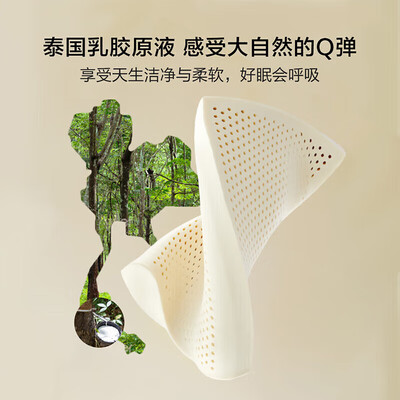 百丽丝乳胶枕和睡眠博士(百丽丝540491乳胶枕 评测说真相)-图片4