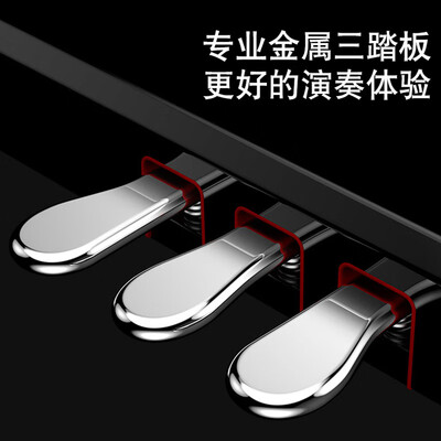 LOUDAN 电钢琴88键立式是否值得入手（露丹电钢琴怎么样）-图片1