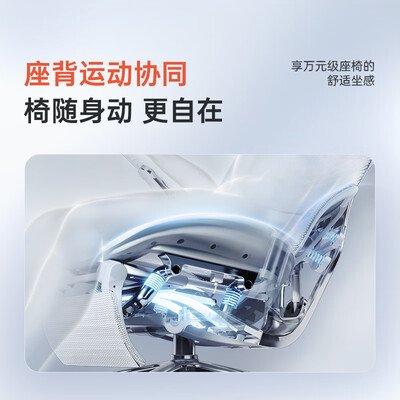 西昊人体工学椅对比（西昊Doro S300电脑椅人体工学椅到底如何,值得入手吗）-图片3
