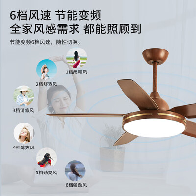 opple和雷士吊扇灯（雷士韶华智能风扇灯餐厅吊灯测评看真相）-图片6