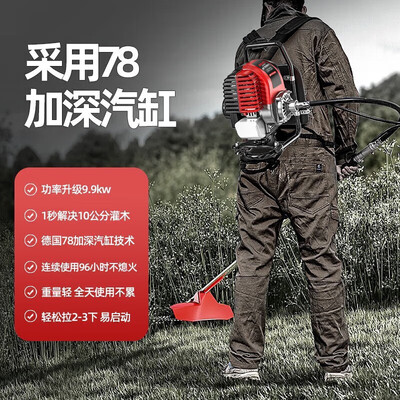 德力西四冲割草机DELIXI背负式靠谱吗,揭秘内幕（德力西电气割草机怎么样）-图片1