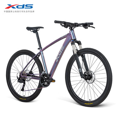 喜德盛英雄600和英雄300区别(XDS 英雄600 山地车山地自行车质量烂不烂)