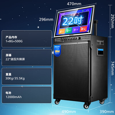 飞利浦 SD299 广场舞音响 户外K歌 蓝牙音箱是否值得入手（飞利浦蓝牙音箱怎么调时间）