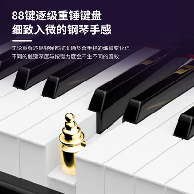 LOUDAN 电钢琴88键立式是否值得入手（露丹电钢琴怎么样）-图片5
